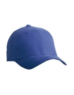 Flexfit Cap